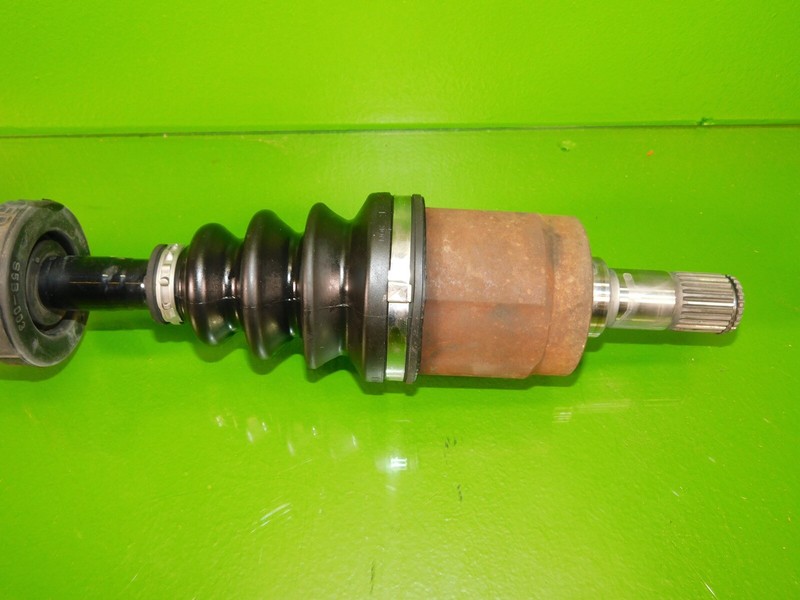 Picture 4