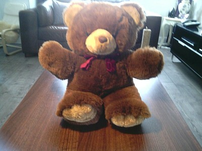 teddy making supplies