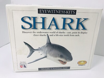   Skullduggery Eyewitness Kits Perfect Cast Sharks Cast Paint Display & Learn