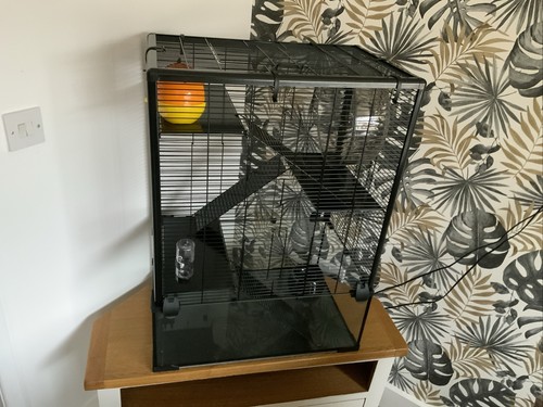 Artikelfoto(s) von einem verifizierten Käufer