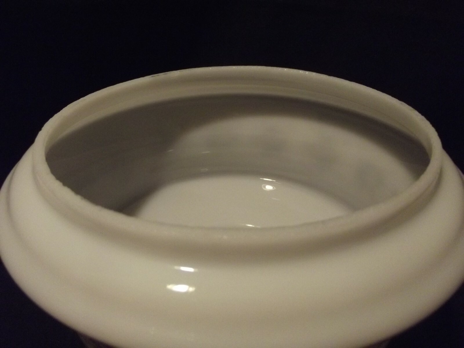 Vintage Milk Glass Handpainted Floral Lamp Shade