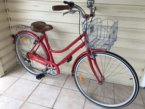 holland vintage cruiser