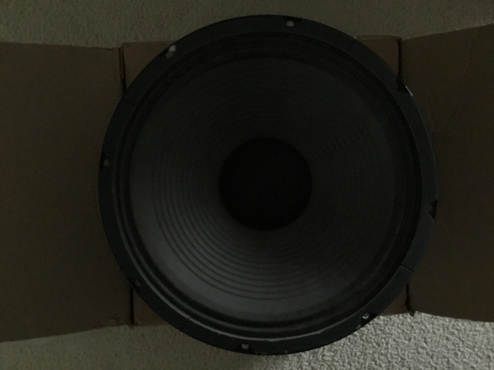 Jensen C12K 100 watt guitar speaker