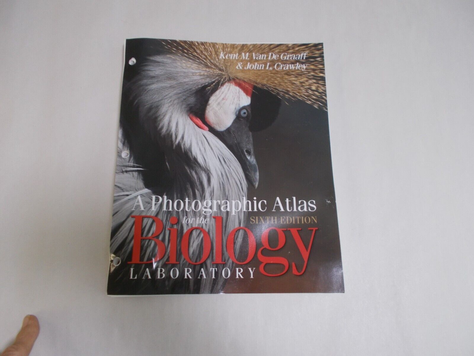 A Photographic Atlas Biology Laboratory Sixth Edition Kent M A Photographic Atlas Biology Laboratory Sixth Edition Kent M