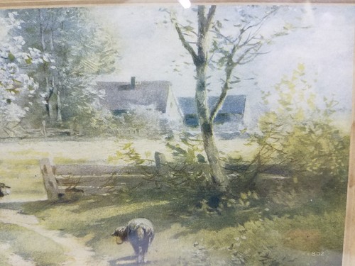 Antique Picture 1908 A. Fox Phila. Sheep Pasture Dirt Road Blossoming Tree Farm