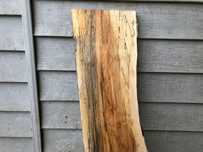 Spalted  Natural edge maple slab