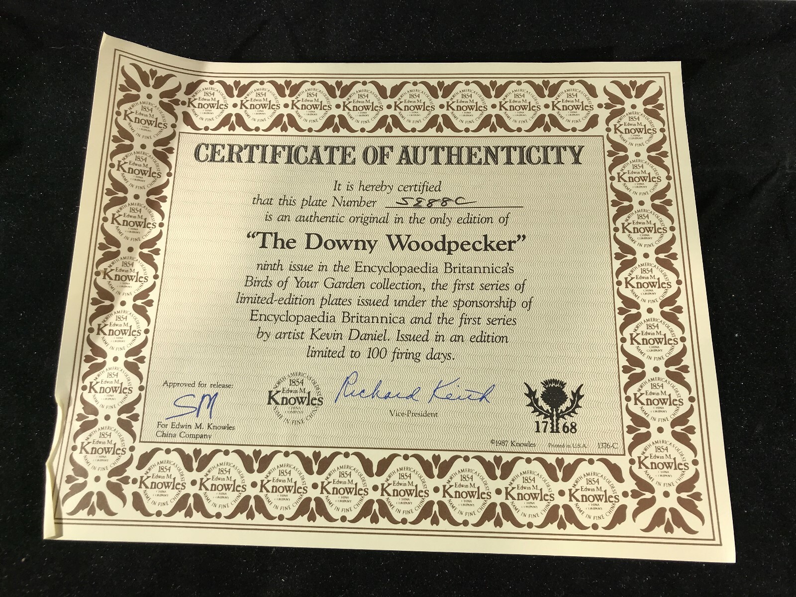 Knowles Encyclopaedia Britannica Birds of Your Garden DOWNY WOODPECKER