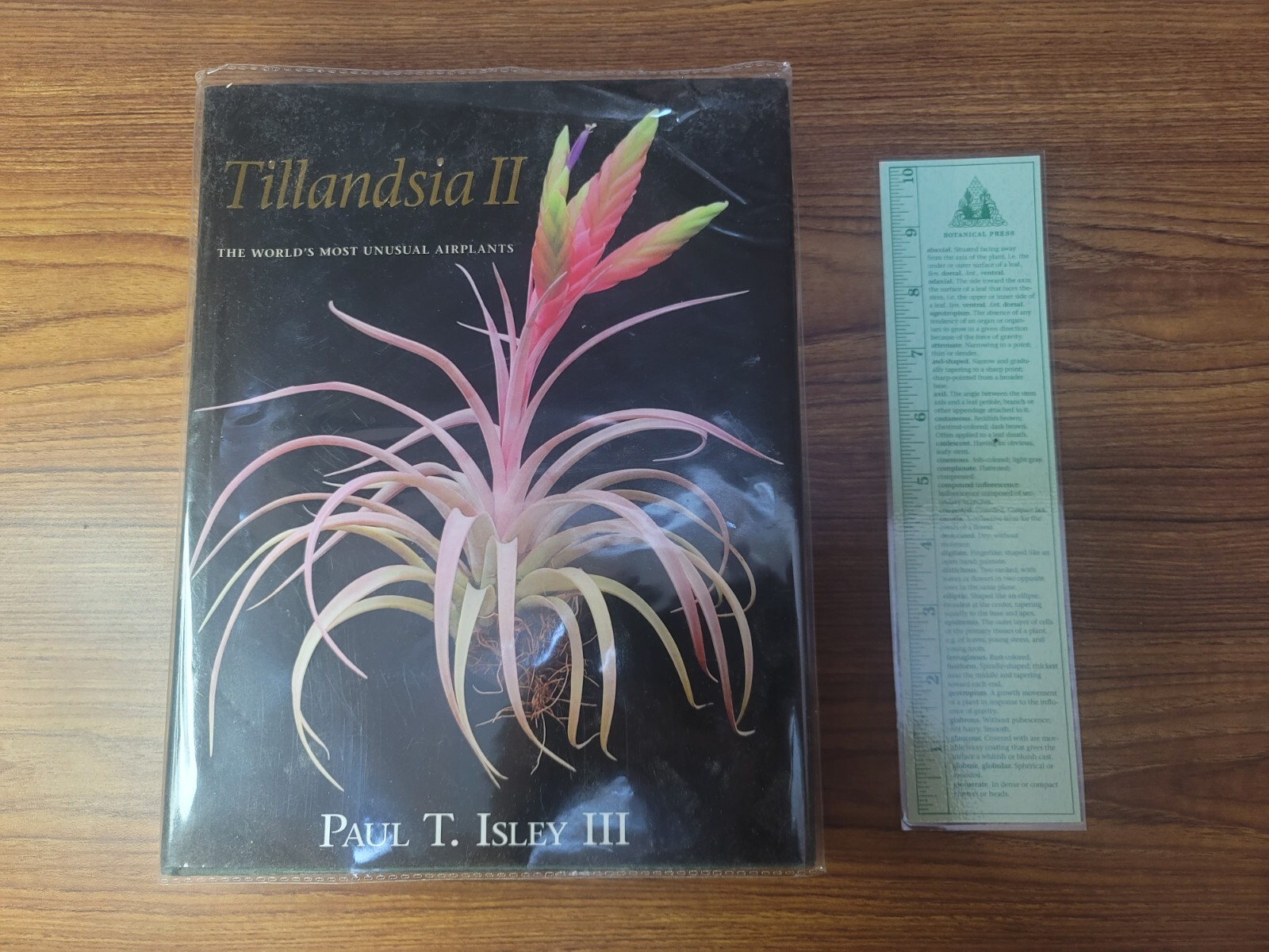 キューハイ様 TillandsiaII by Paul T. Isley III Out of print