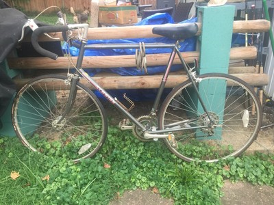 1987 schwinn world sport