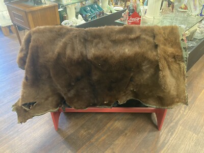 200 Year Old Buffalo Hide