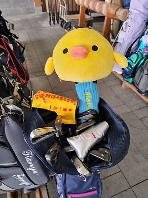 Fotos del artículo de un comprador verificado