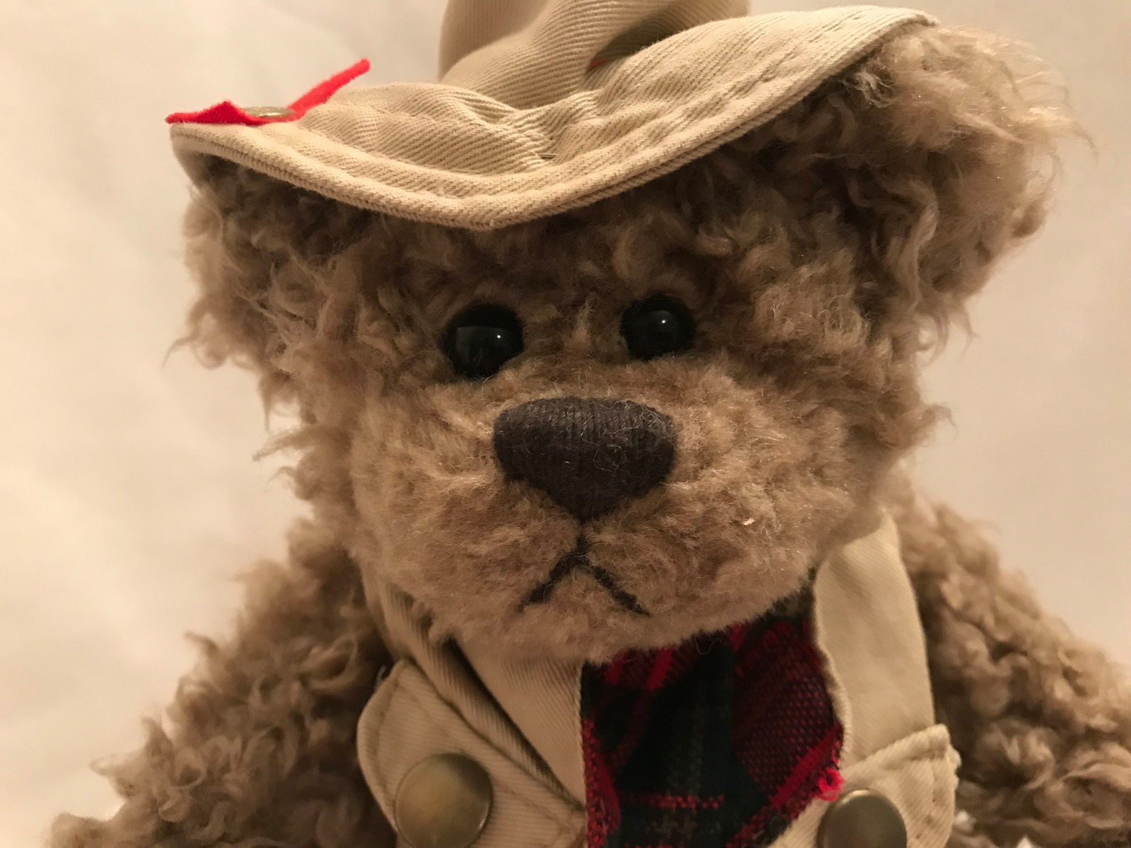 Vintage Brass Button Collectible Pickford TANNER Bear of Health Plush 11