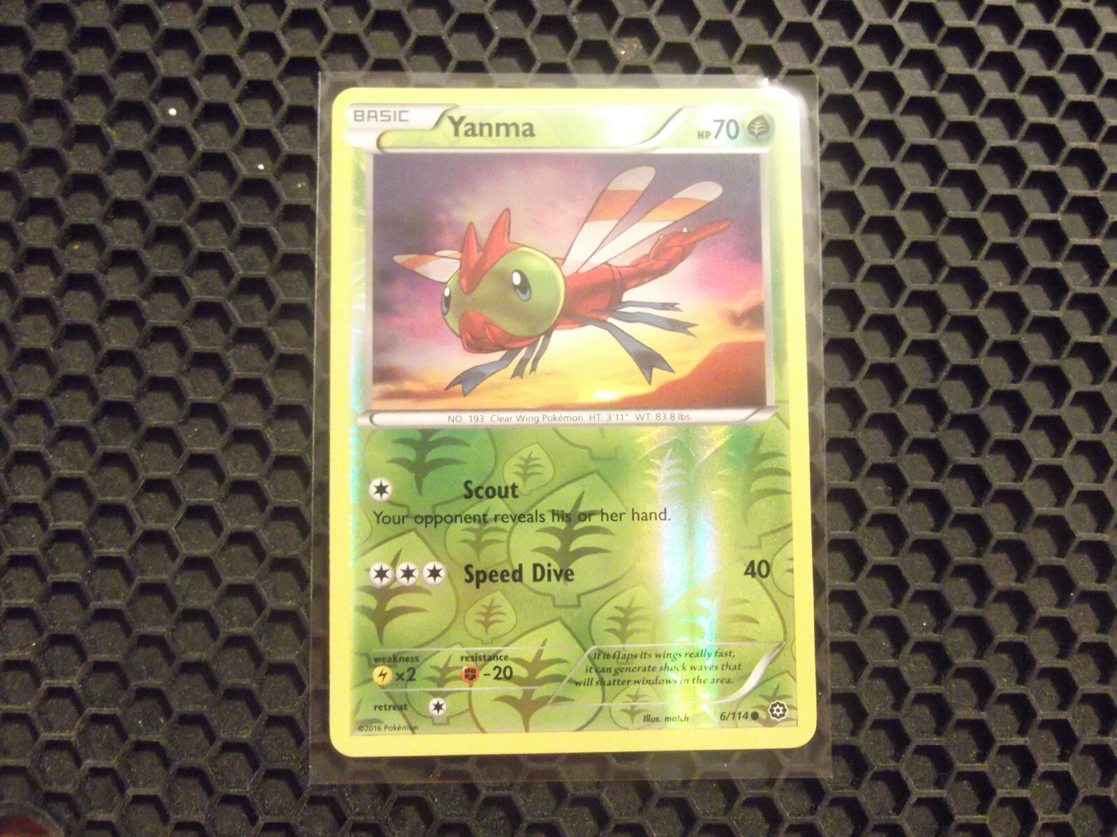 Pokemon Card Yanma 6/114 XY Steam Siege Reverse Holo Foil