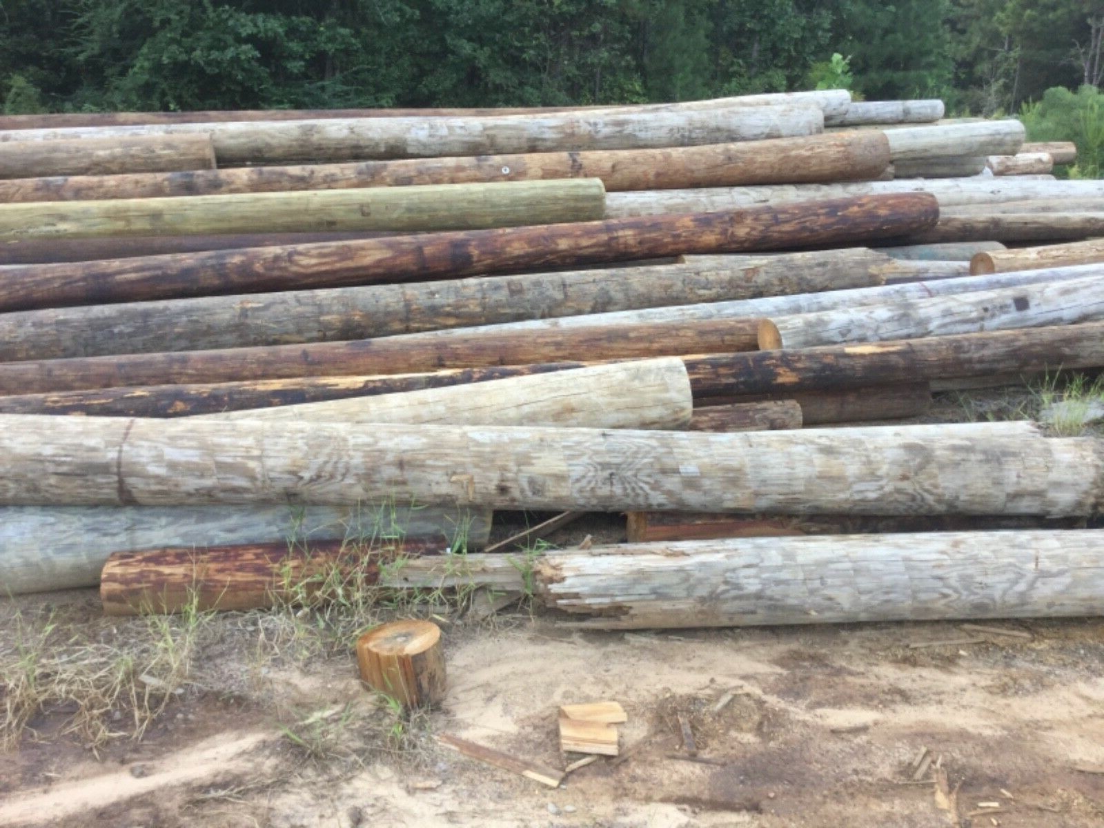 1each Treated Wood  Posts 8-12 Inch Diameter 40 Feet long