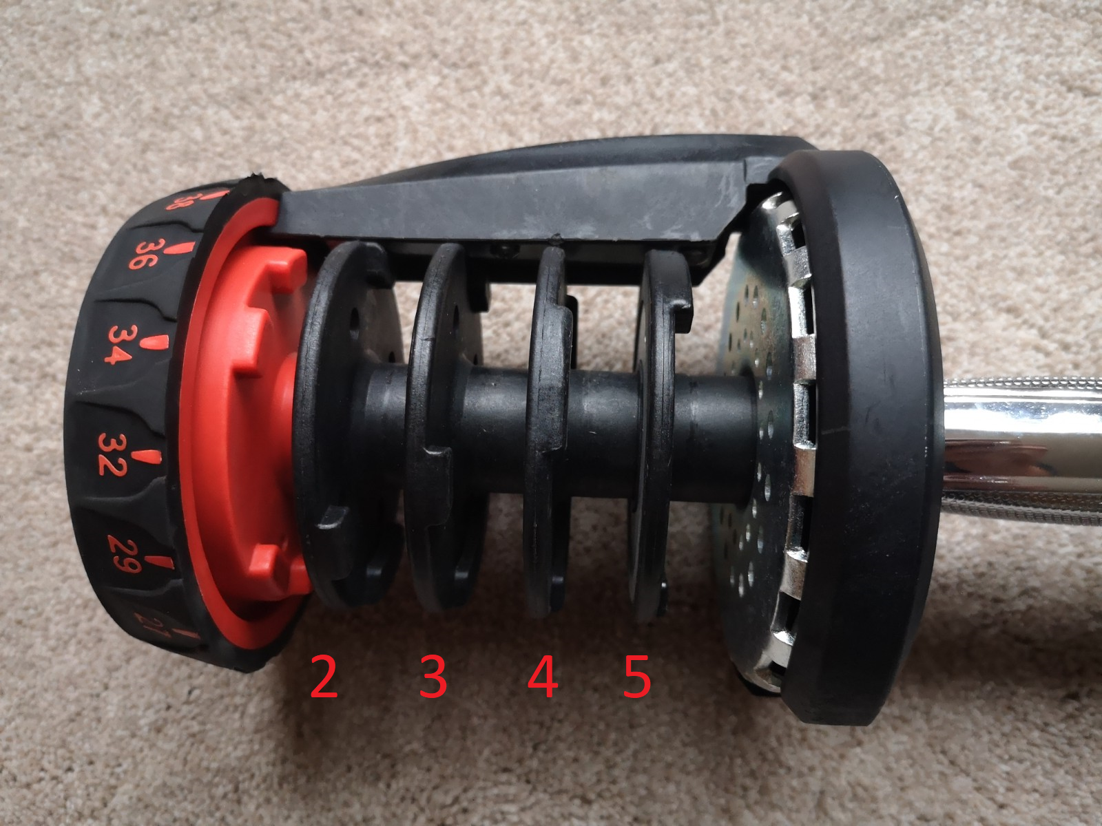 Generic bowflex dumbbells hotsell