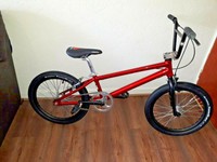 custom mongoose bmx