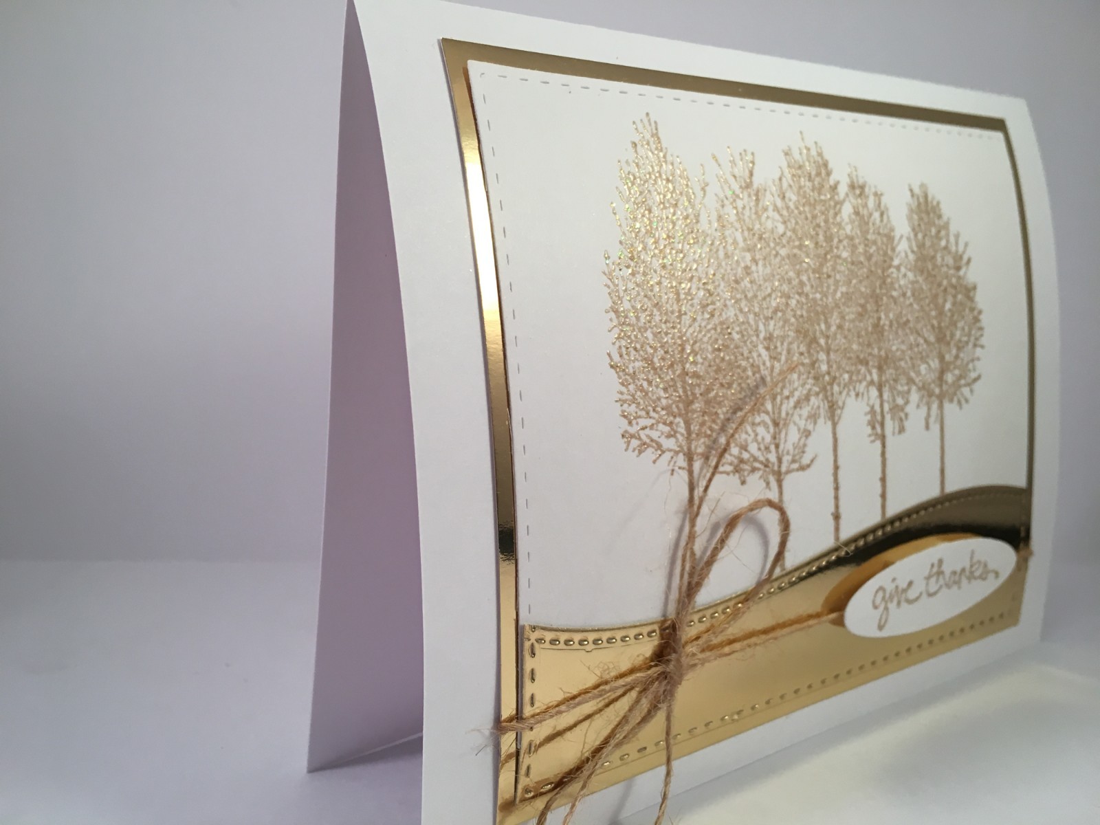 Handmade Card~Give Thanks~Thanksgiving~Blank inside~A2~Stampin Up Products used