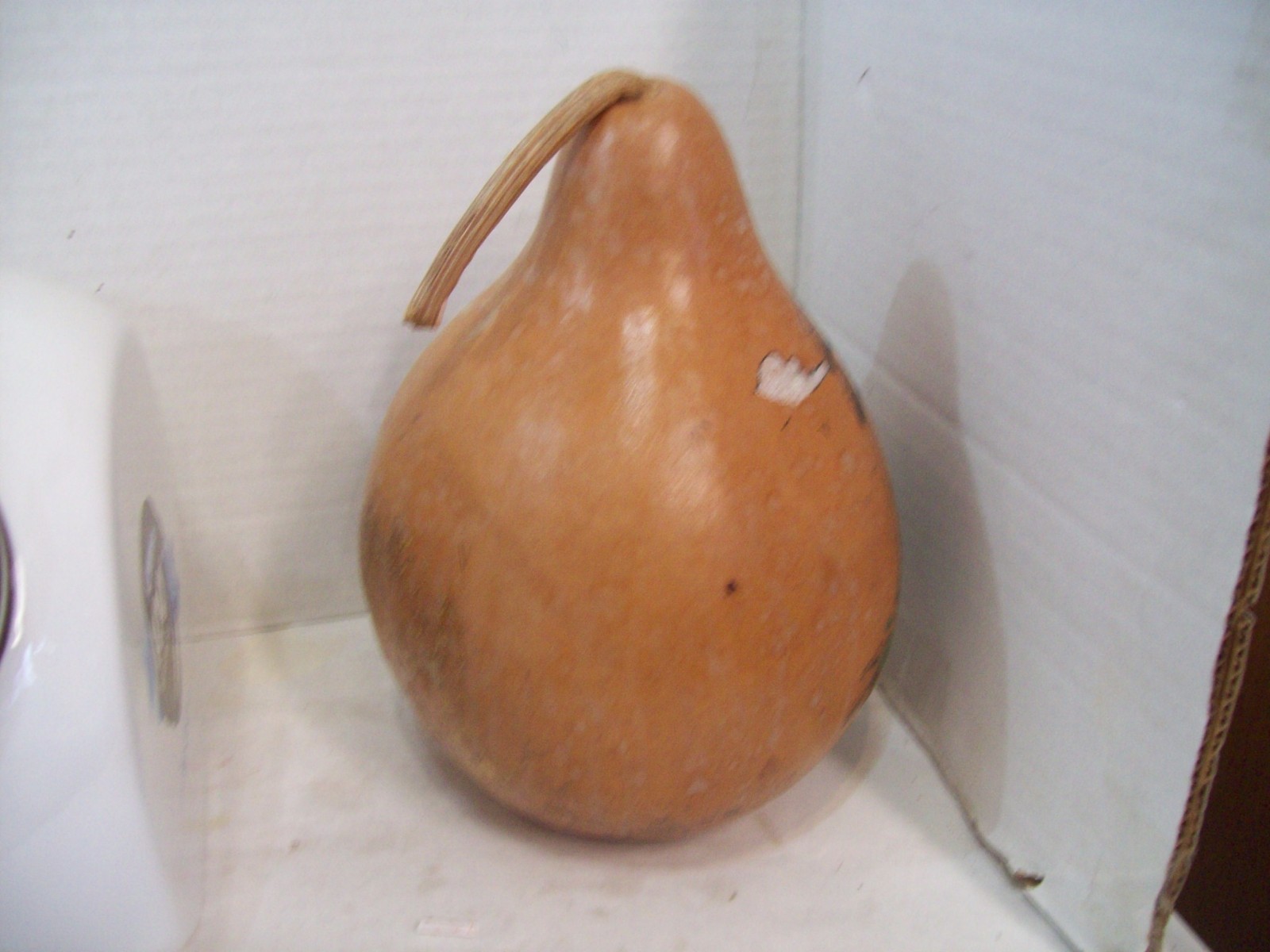 Lighthouse Painted Gourd, Signed by Artists, 10