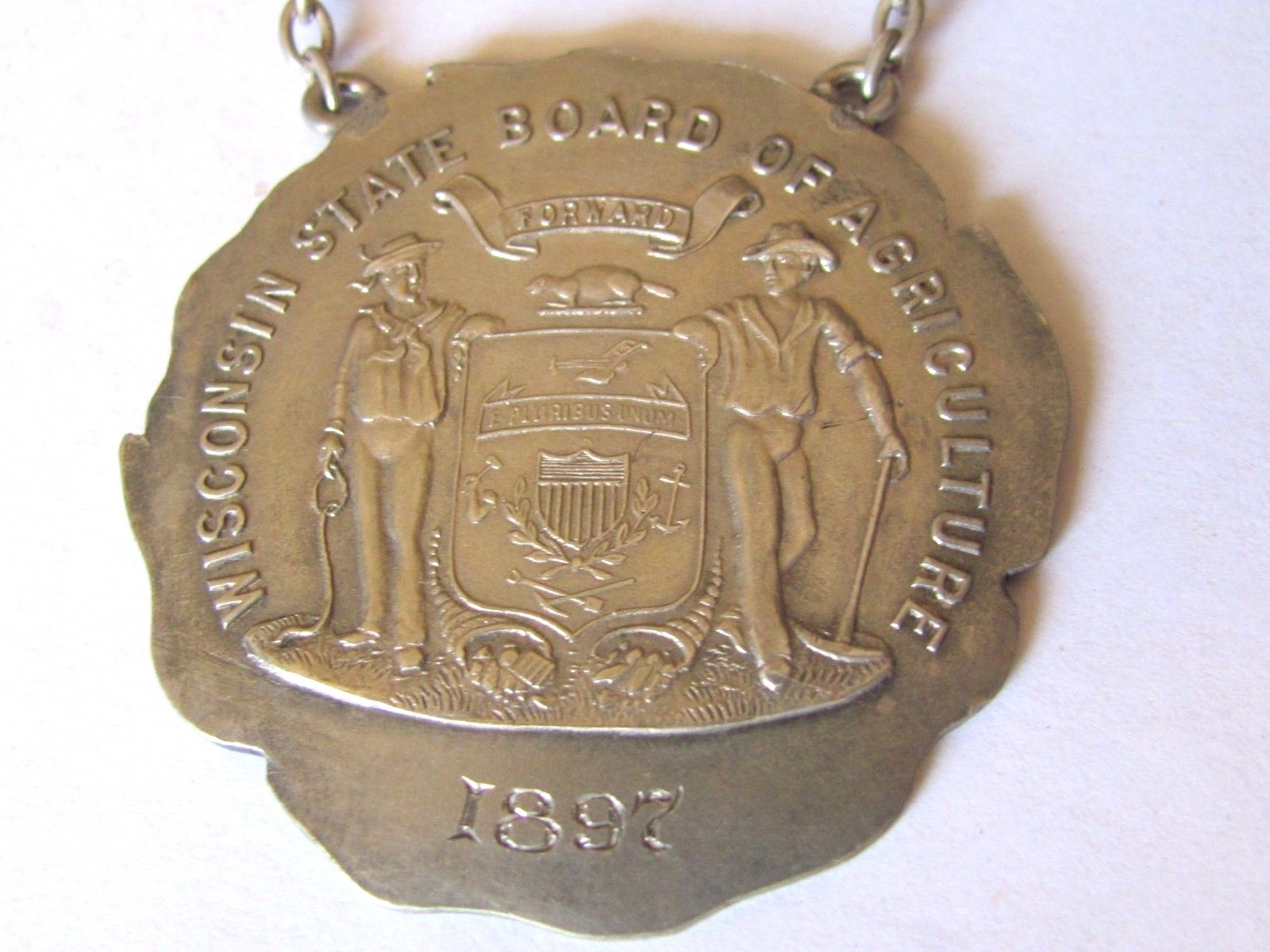 1899 WISCONSIN AGRICULTURE DEPT SECRETARY BADGE MEDAL JOHN TRUE STATE SENATOR