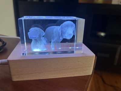 Fotos del artículo de un comprador verificado