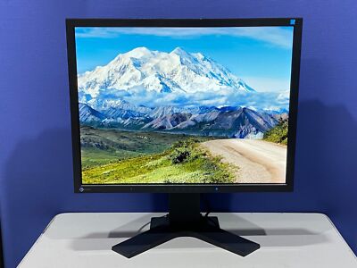 EIZO FlexScan S2133 BK 21.3 in 1600 x 1200 UXGA LED back light LCD Display F/J
