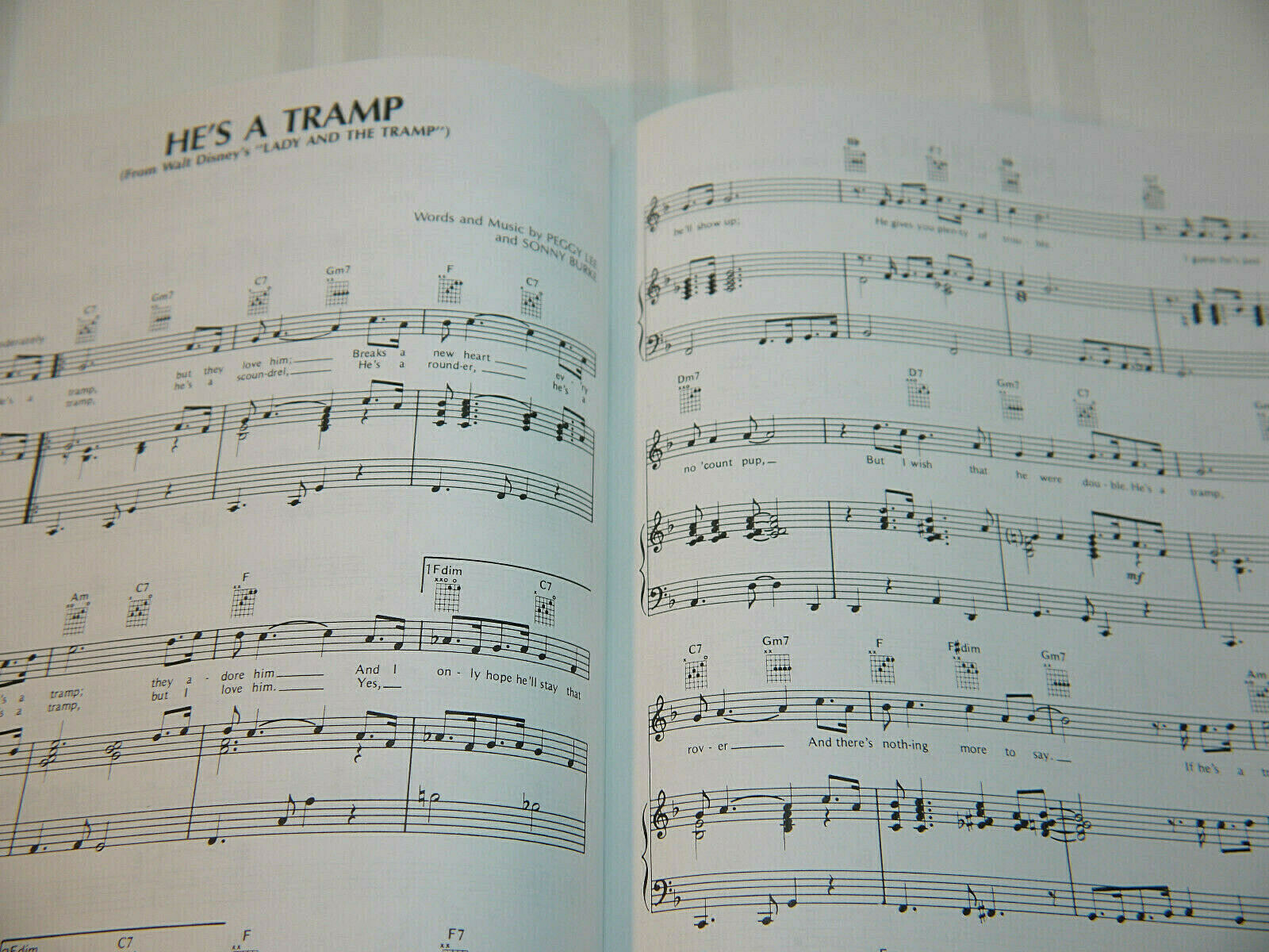 The Disney Collection Songbook of Best Loved Movies,TV & Theme Parks Hal Leonard