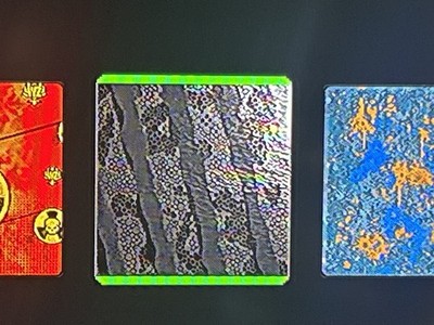 Artikelfoto(s) von einem verifizierten Käufer