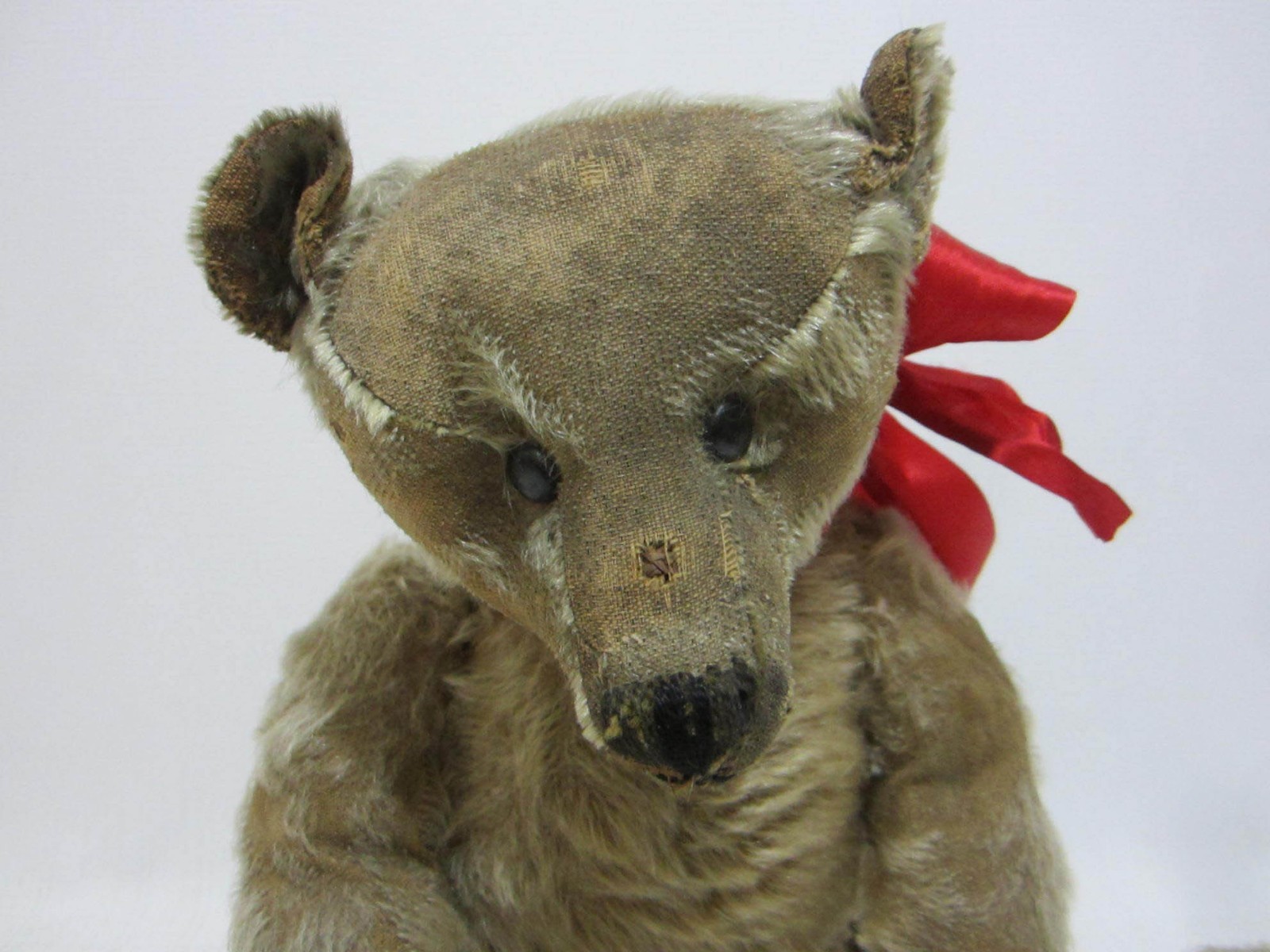 STEIFF Antique Teddy Bear 16
