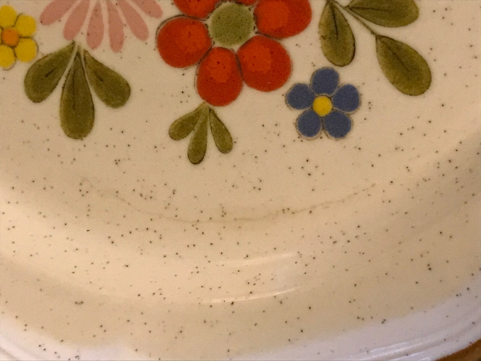 Mikasa Baronial Natures Bouquet Set of 2 Dinner Plates Floral CM-951 Stoneware