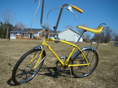 schwinn bike streamers