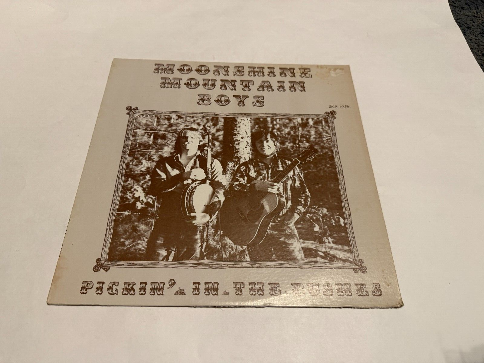 その他 Mountain Picnic Blues [DVD] Picnic (1996)