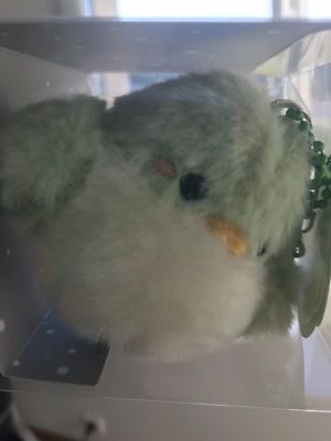 2025 GOT7 CONCERT NESTFEST OFFICIAL MD GOODS I GOT7 DOLL