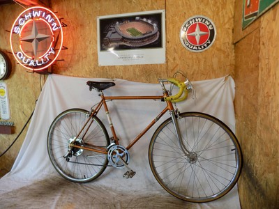 1988 schwinn sprint