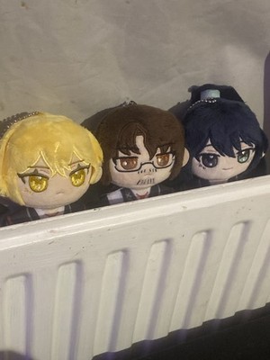 Foto dell'oggetto di un acquirente verificato