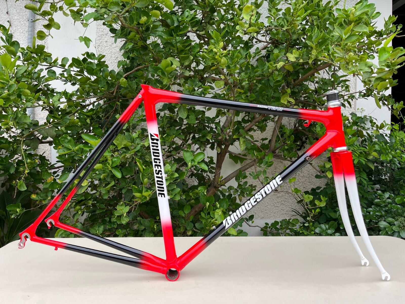 BRIDGESTONE ANCHOR アンカー RNC7 NeoCot ブリヂストン アンカー BRIDGESTONE ANCHOR ネオコット RNC7 NEO