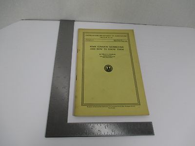 1946 Some Common Mushrooms & How To Know Them US Dept Agriculture 60 Pgs S2667