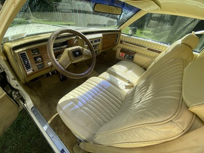 image 4 of interior
