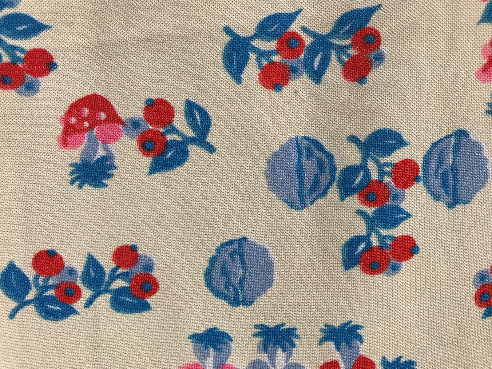 Vintage MUSHROOM FABRIC 60s 70s Almost 4 YARDS Walnut Blue Red White Pink 138x64