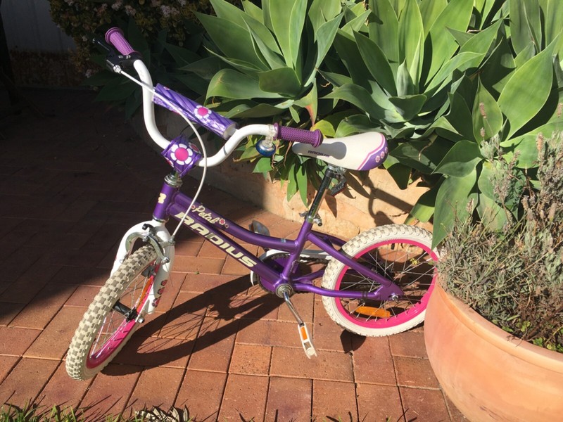 radius 16 inch bike