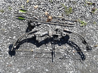 Compound Golden Eagle Compound Bow