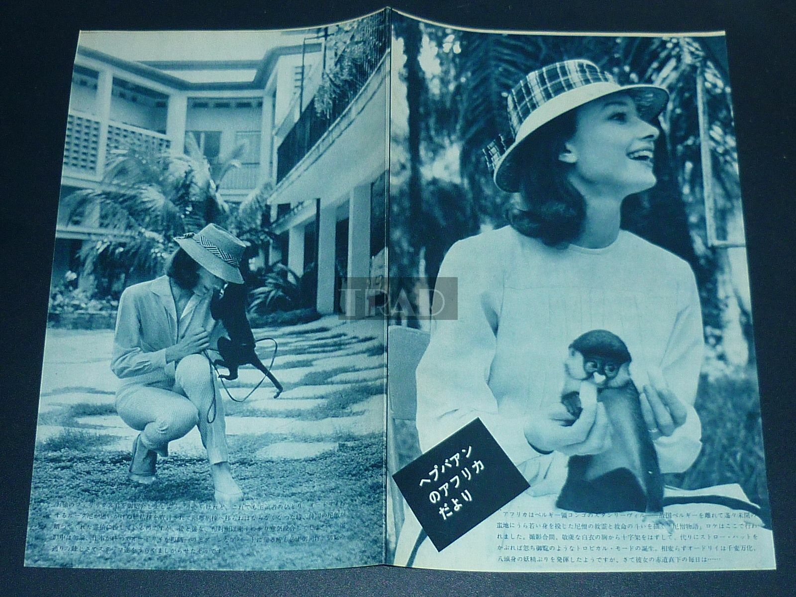 AUDREY HEPBURN double-sided 1958 Vintage JPN Picture