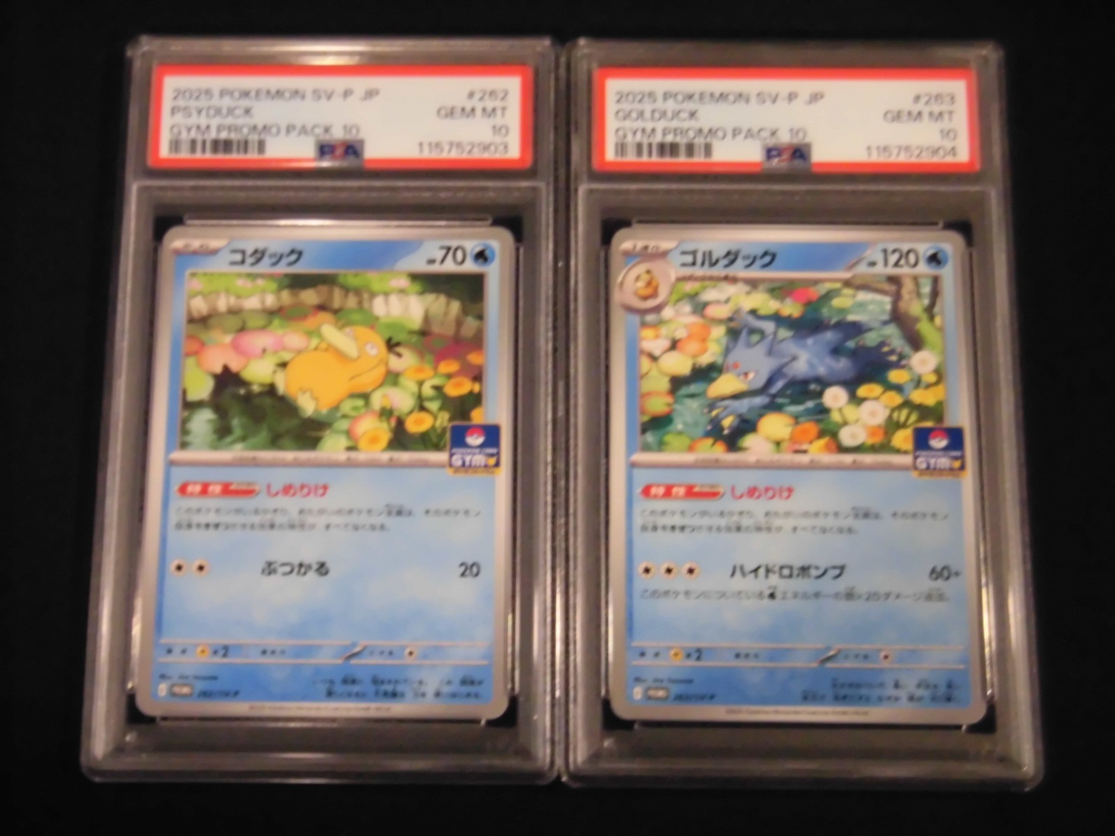 PSA 10 Pokemon Card Psyduck Golduck GYM Promo SEQ set 262/SV