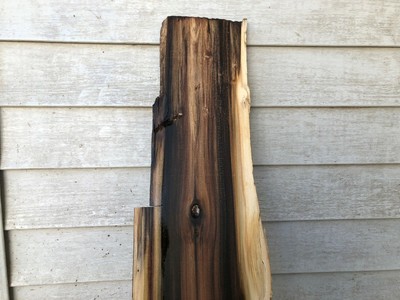 Rainbow Yelllow poplar slab