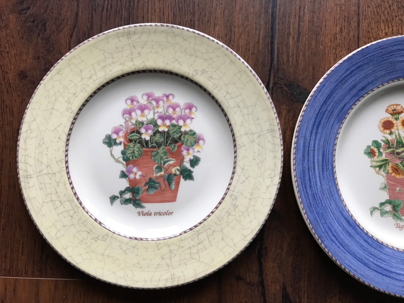 1977 Queen's Ware Wedgwood SARAH'S GARDEN Plate / 8 1/4