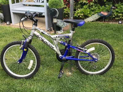 Team Saracen Dune 6061 Blue/Silver Childs Bike