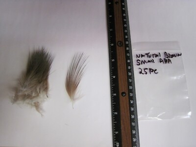 DIB 25 pc AAA Heron Feathers - Plumes 2 to 3 inches long Natural Brown .