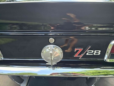 image 20 of exterior