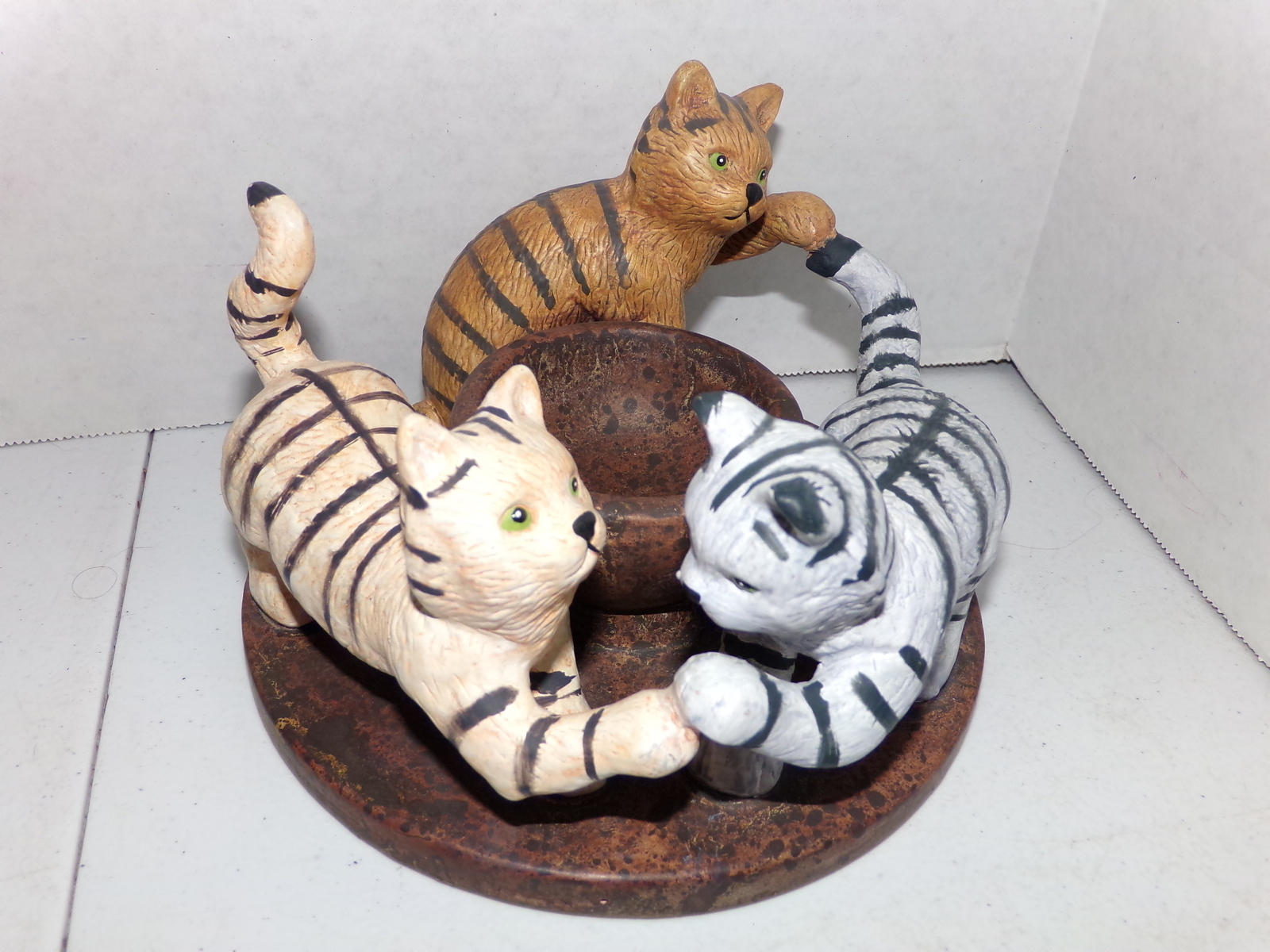 3 Cats Kittens