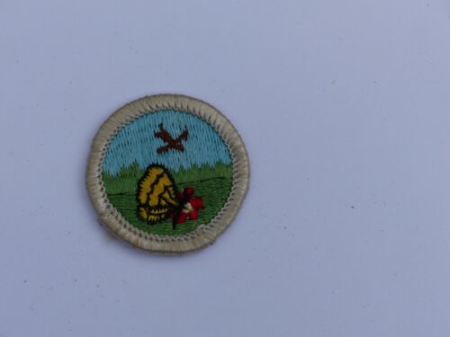 Vintage Plastic Back NATURE Merit Badge Boy Scout Patch Butterfly Silver Border
