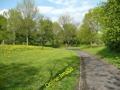 Photo 6x4 Dandelions in the park Elland  c2013